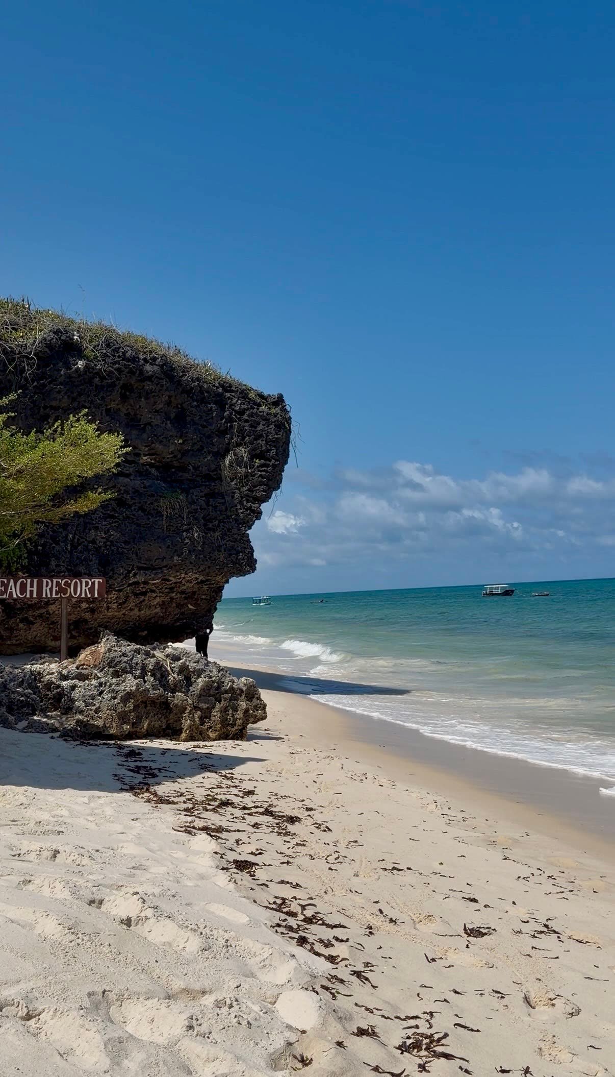 Costa de Zanzíbar, Tanzania