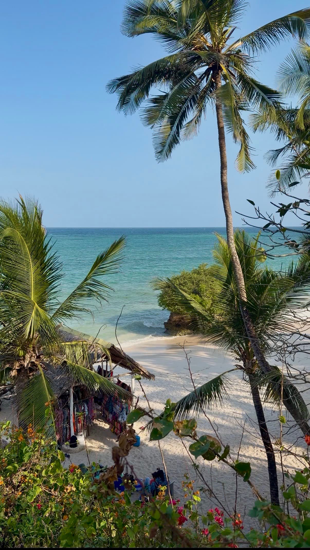 Costa de Zanzibar, Tanzania